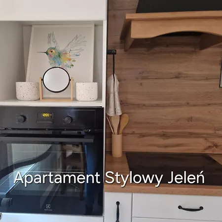 Stylowy Jelen Апартаменты *