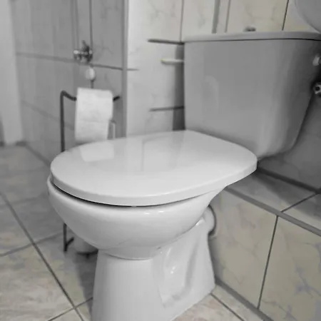 Stylowy Jelen Apartment *