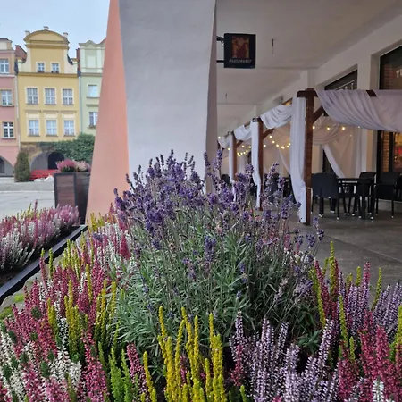 Stylowy Jelen Jelenia Gora