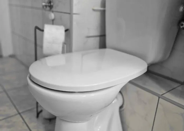 Stylowy Jelen Apartment *