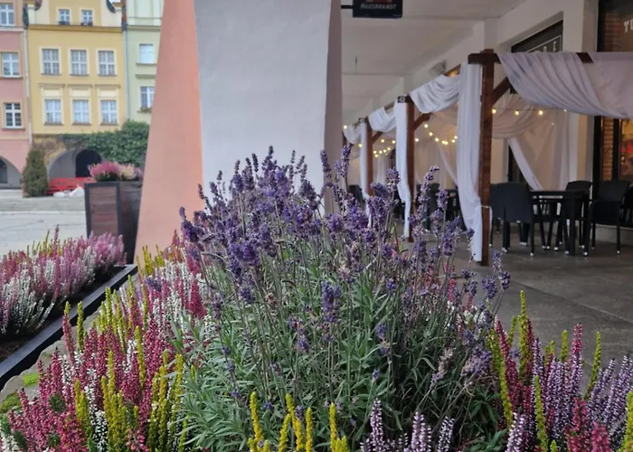 Stylowy Jelen Jelenia Góra